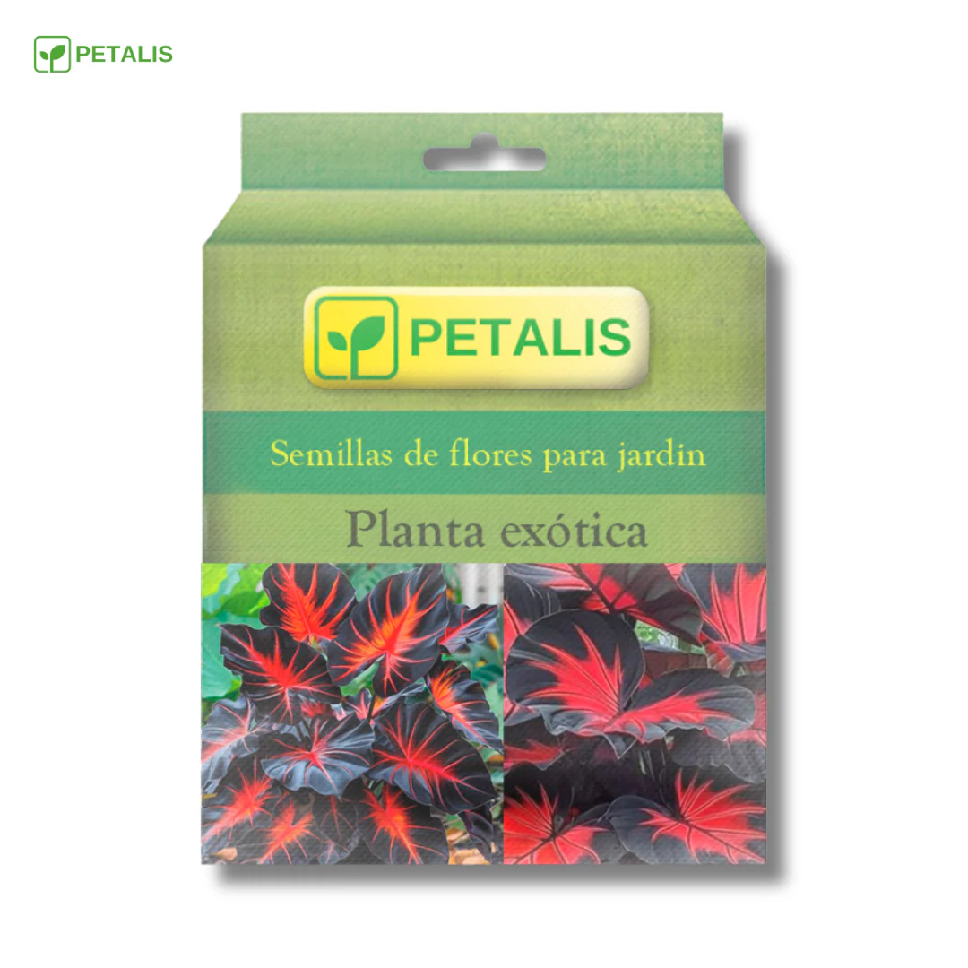 Semillas exóticas de flores Petalis - Imagen 2